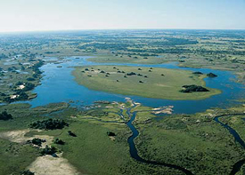 Biotp akvrium - Dl-Afrikai mocsr - Okavango delta