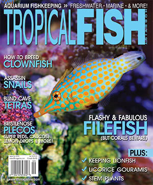 Tropical Fish Hobbyist 2015.09-10. #714