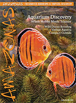 Amazonas Magazine