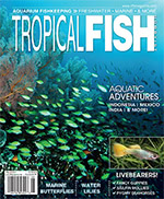 Tropical Fish Hobbyist 2017.05-06. #723